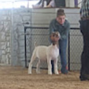 Meet your Posher, Danika